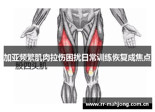 加亚频繁肌肉拉伤困扰日常训练恢复成焦点 加亚频繁肌肉拉伤困扰日常训练恢复成焦点